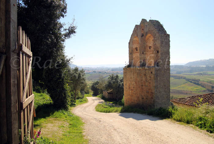 Hiking into the countryside outside of Obidos.