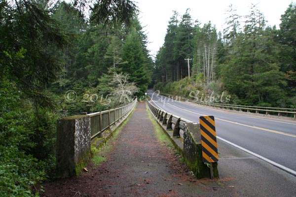 California & Oregon Coast – Photos of Green Things