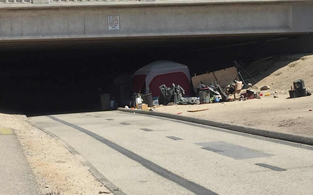 Biking on the Santa Ana River Trail: A Post Apocalyptic Landscape