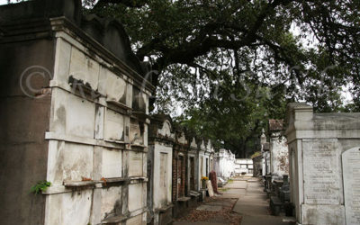 New Orleans Voodoo Legacy