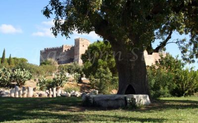 Selçuk and Exploring the Ruins at Ephesus