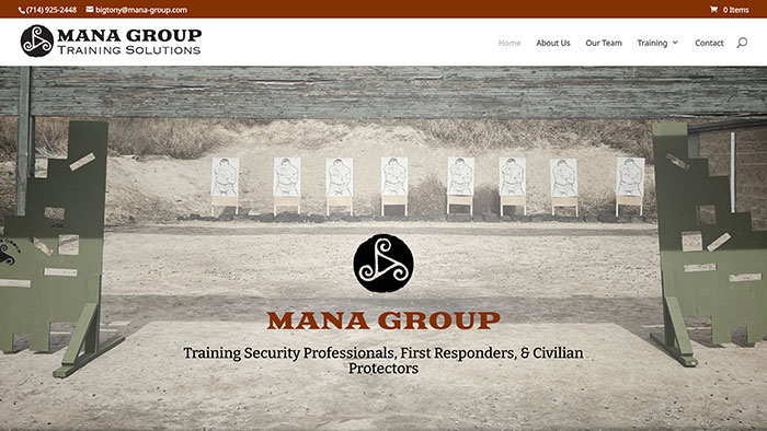 Mana Group website screenshot